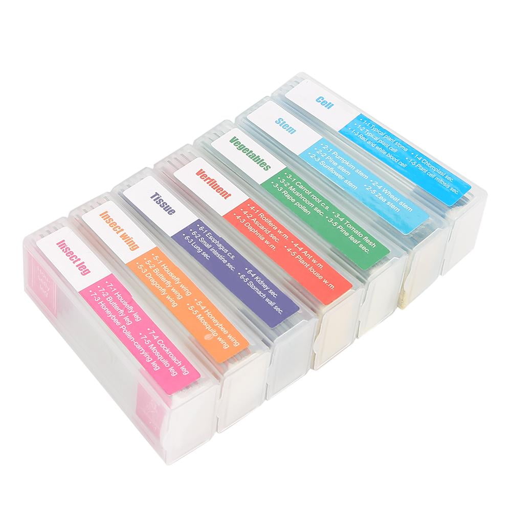 Mgaxyff 35pcs Biology Glass Prepared Microscope Slides Lab Specimens