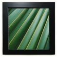 thumbnail image 1 of Cadre Photo Carré Noir Nature Verte Murale Ou de Table, 1 of 3