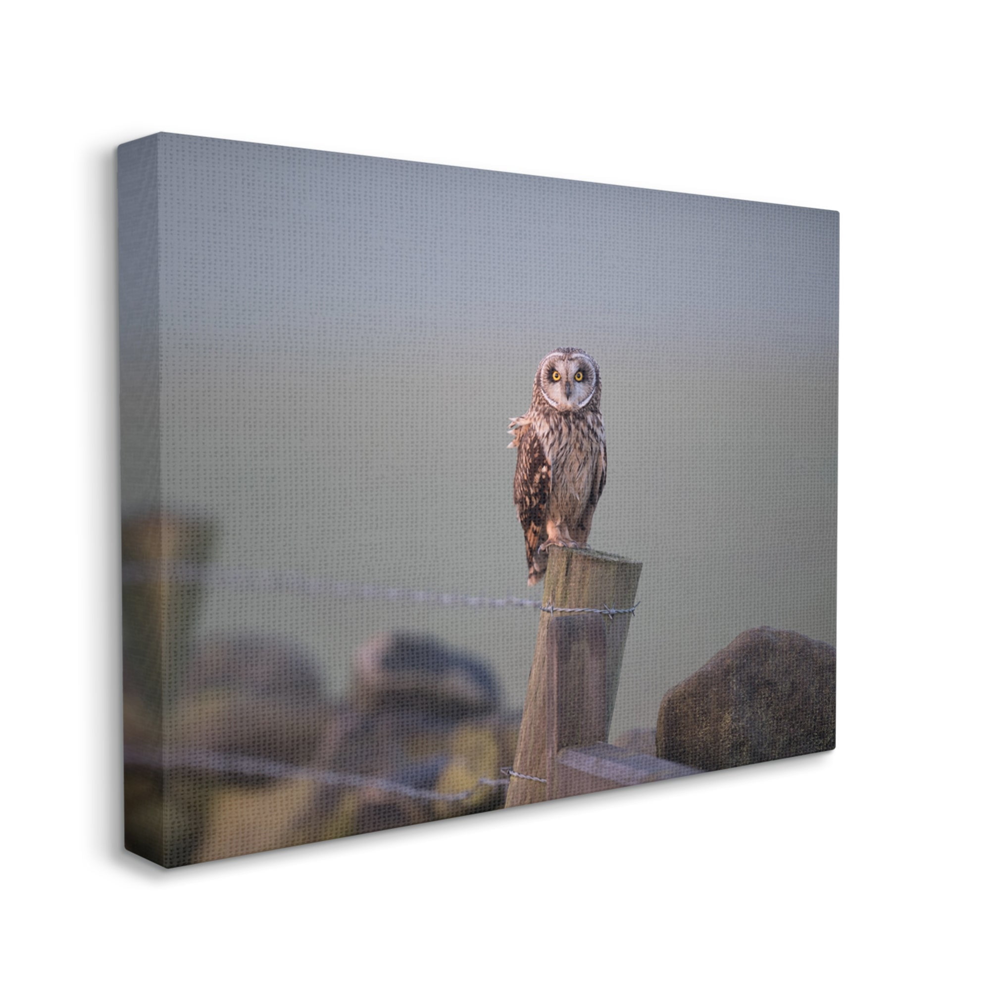 Stupell Industries Intensely Gazing Owl Perched Rural Fence Post Photograph Gallery Wrapped Canvas Print Wall Art, Design by James Dobson