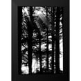thumbnail image 2 of Berzel, Erin 13x18 Black Modern Framed Museum Art Print Titled - Light and Shadows II, 2 of 5