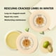 thumbnail image 4 of Fiudx Crema para Grietas, Bálsamo Hidratante Intensidad para Manos y Pies, Loción Reparadora para Piel Seca, Crema Exfoliante Suave para Callos, para Manos y Pies, para Todo Tipo de Piel, Solución pa, 4 of 7