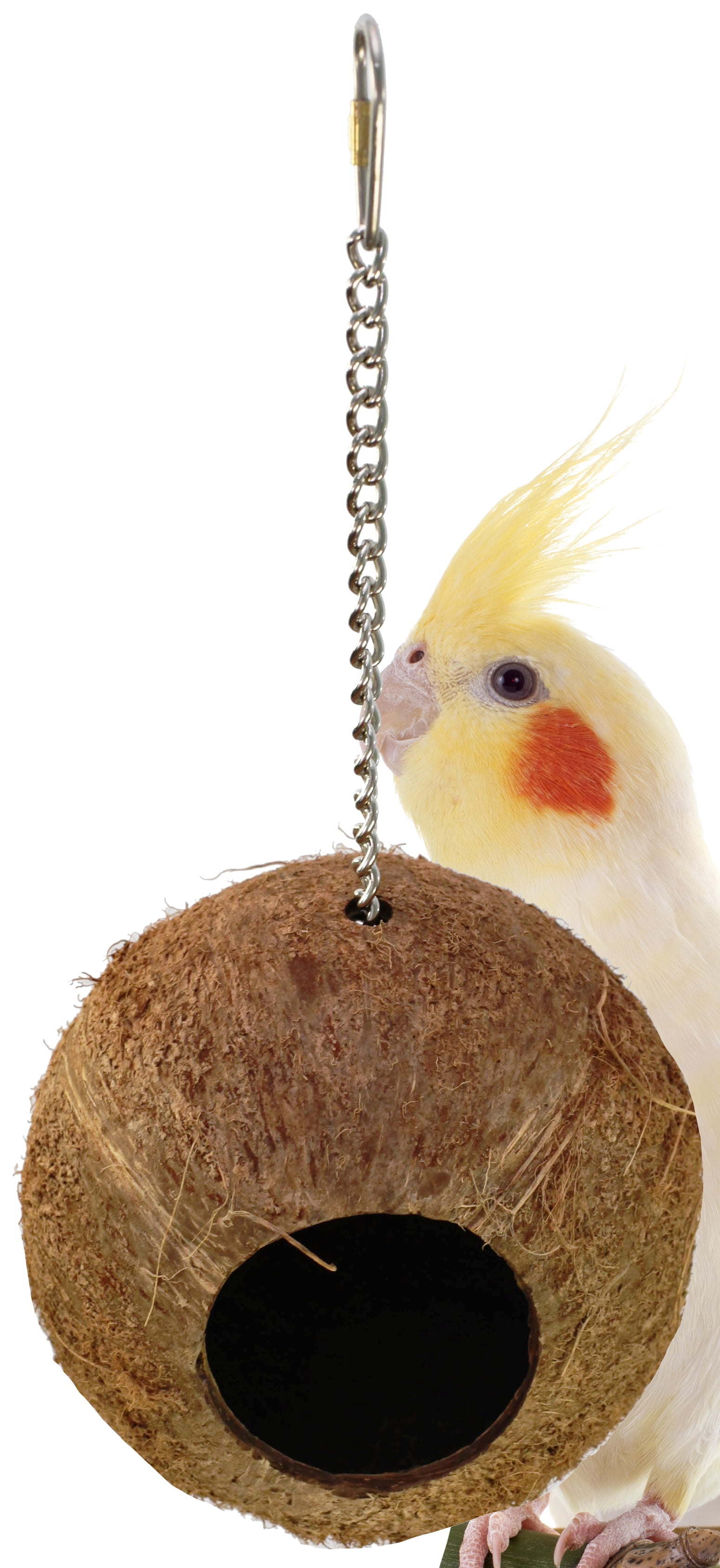 1683 Coco Home Bird Nest