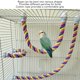 thumbnail image 3 of Percha De Cuerda Para Pájaros, Soporte Colorido Para Cuerda De Loro Trepador, Flexible, Seguro, Soporte Estable Para Cacatúas Para Periquitos, 3 of 7