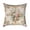 B, variant on Valentine Floral Pillow Covers, Spring Rose Flowers Vintage Plants Watercolor Throw Pillow Covers for Couch Sofa Bedroom Farmhouse Decor (18x18in)