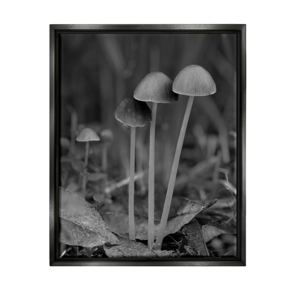 Stupell Industries Forest Mushroom Photography Botanical & Floral Photography Black Floater Framed Canvas Art Print Wall Art, 17 x 21
