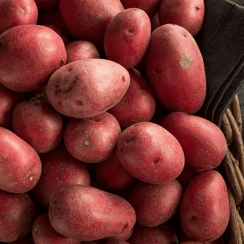 60 TPS True Potato Seeds Red Potatoes Seeds Potato Heirloom Vegetable Seeds for Growing, Tiny Seed