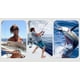 thumbnail image 4 of Sedal de pesca Super Force Dali Horse PE (0,4 gris 4 tejidos 500 metros Sailing Electrónica, 4 of 4