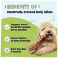 thumbnail image 3 of Pawstruck Natural 12" Braided Bully Stick Chews for Dogs, Single Ingredient, 10 Count, 3 of 12