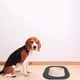 thumbnail image 5 of Mantel Individual para Perros Mascotas con Bordes Levantados Antiderrames Mantener Suelos Limpios Mantel Individual para Perros a Prueba de Fugas, 5 of 6