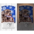 thumbnail image 2 of Caroline's Treasures LH9264CNL Newfoundland Winter Snowflakes Holiday Ceramic Night Light, 6x4x3", multicolor, 2 of 2
