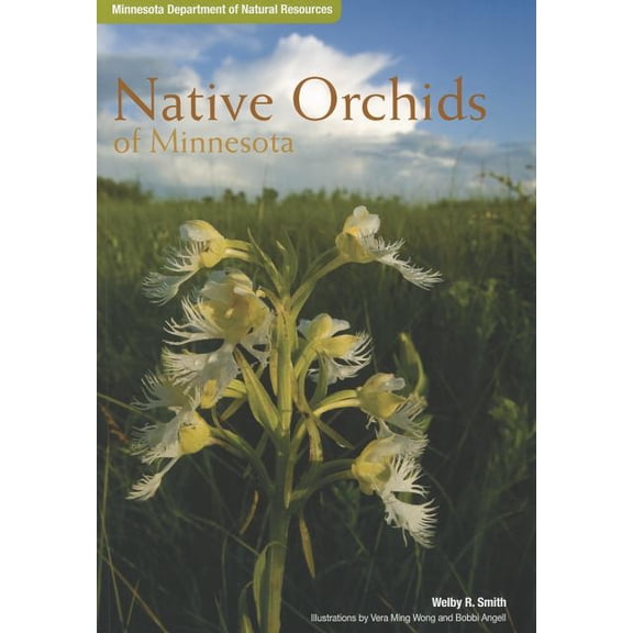 Native Orchids of Minnesota (Paperback)