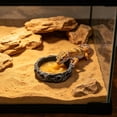 thumbnail image 5 of FEOLGEHLY Slow Feed Reptile Feeding Bowl Resin Feeding Bowl, Non Skid Simulated Rock Food Water Dish for Dog Cat, Practical Pet Feeding Accessories, 5 of 6