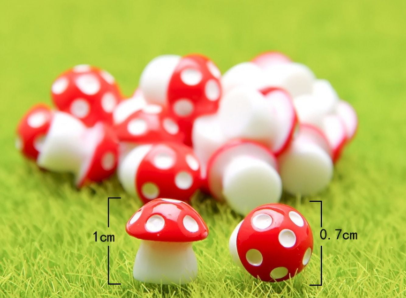 mushroom　0120 1e6748c6-ab0d-4334-845a-
