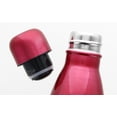 thumbnail image 2 of DC Harley Quinn 17oz Stainless Steel Vacuum Insulated Water Bottle, 2 of 3