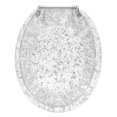 thumbnail image 2 of Asiento de inodoro Ginsey Home Solutions, lámina alargada de resina plateada, 2 of 9