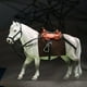 thumbnail image 1 of Figuras de caballos a escala 1/12 Hugo figuras de caballos accesorio de figura de acción en miniatura realista para accesorios de escena en miniatura de figuras de 6 pulgadas Blanco, 1 of 10