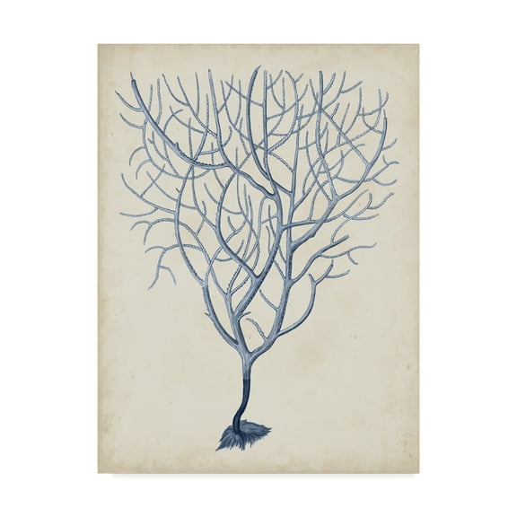 Trademark Fine Art 'Indigo Coral III' Canvas Art by Vision Studio