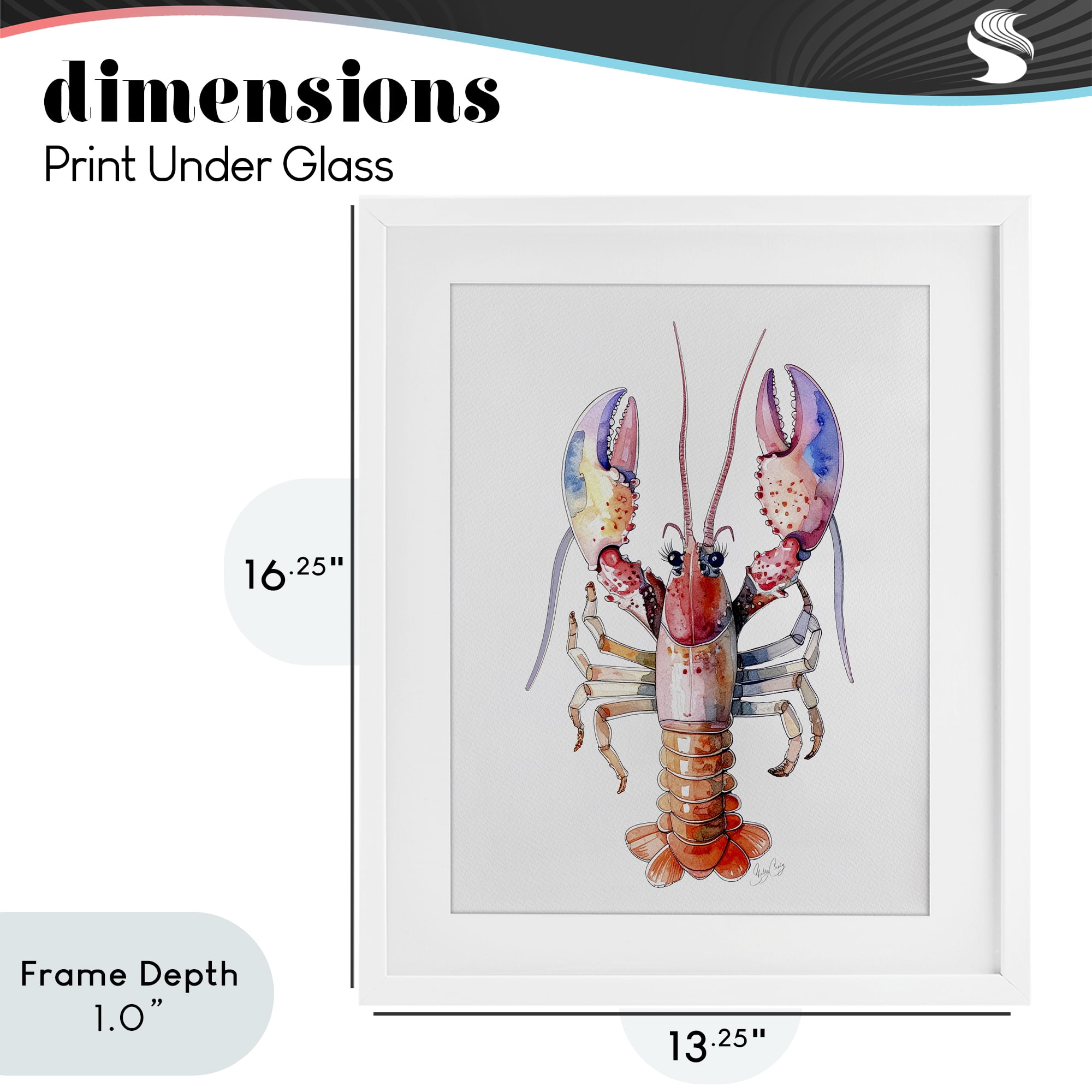 Stupell Industries Coral Claw Lobster White Framed Print Under Glass, design by Shelly Craig