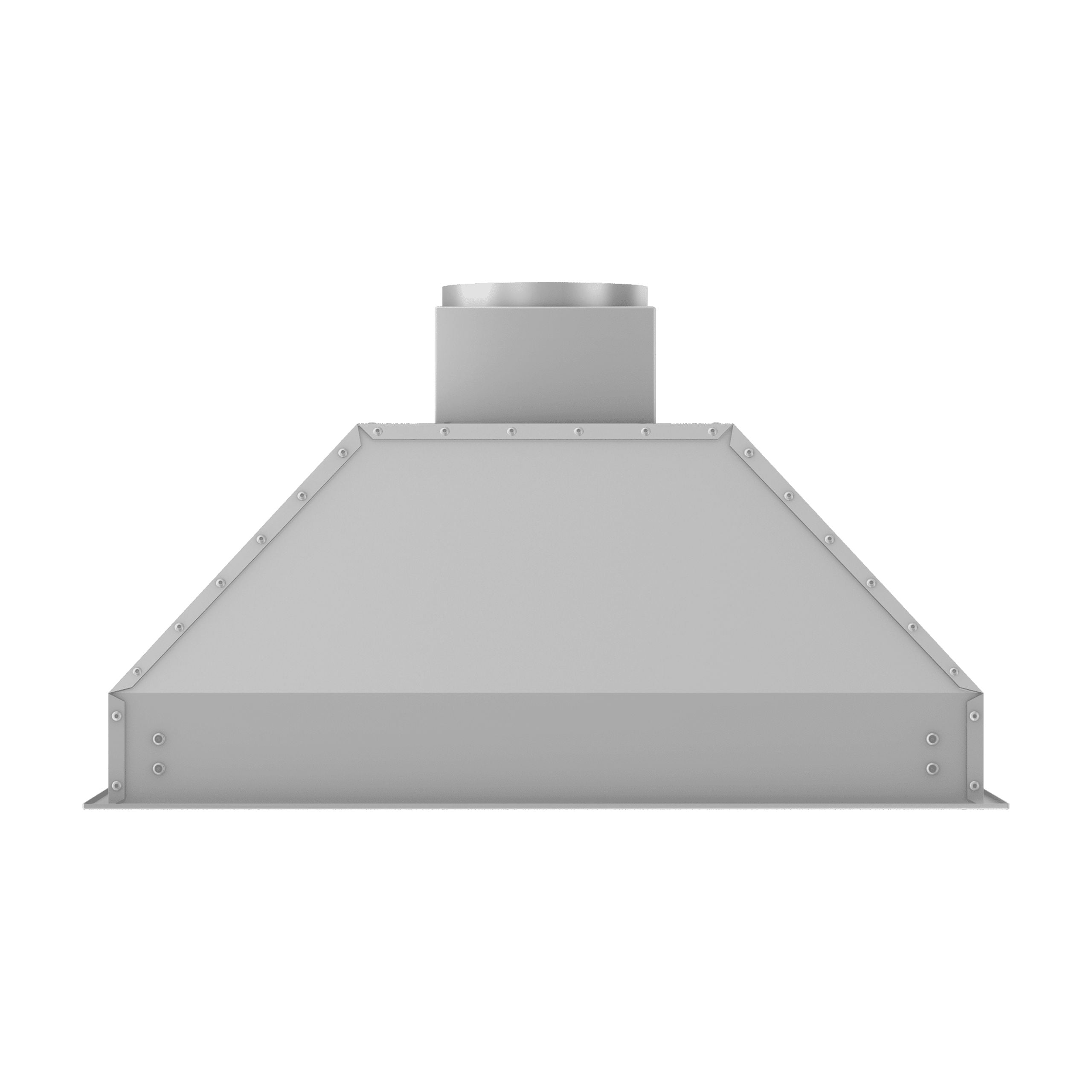 ZLINE 46 in. Outdoor Range Hood Insert in Stainless Steel (698-304-46)