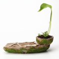 thumbnail image 4 of PENGXIANG Halloween Simulation Skull Flowerpot Retro Gothic Style Planter for Garden Yard, 4 of 5