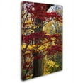thumbnail image 2 of Trademark Fine Art "Reds and Golds of Autumn" Canvas Art by Kurt Shaffer, 2 of 3