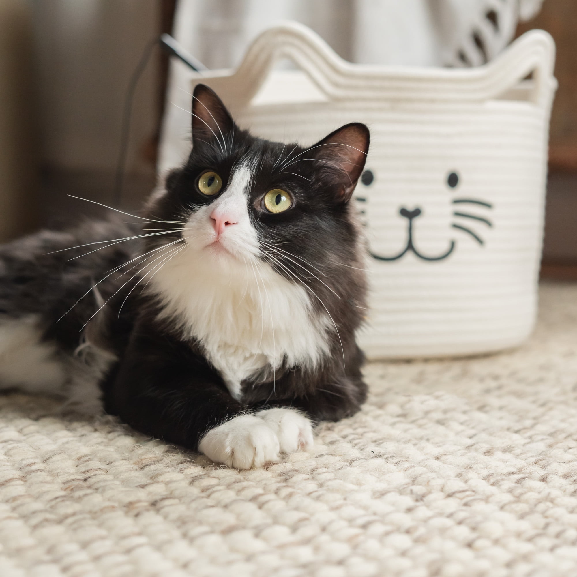 Harry Barker Kitty Cat Rope Basket