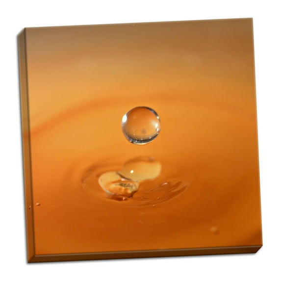 Gango Home Decor Tomato Soup Drop I by Tammy Putman (Ready to Hang); One 24x24in Hand-Stretched Canvas