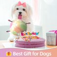 thumbnail image 3 of Pelota de fútbol QDAN Dog Toy con correas para perros pequeños de tira y afloja, 3 of 8