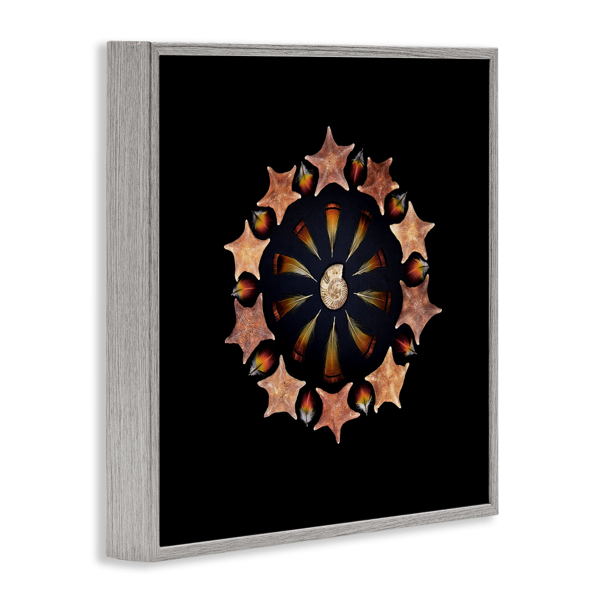 Stupell Industries Nautical Nature Arrangement Gray Framed Giclee Art, design by Beth Adoette