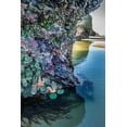 thumbnail image 2 of Jaynes Gallery 23x32 White Modern Wood Framed Museum Art Print Titled - Oregon-Bandon Beach Sea stars and anemones on rock, 2 of 4