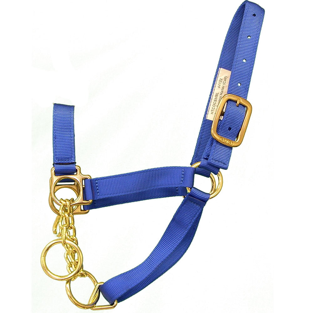 HALTER CALF CONTROL HALTER BLUE NYLON