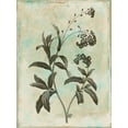 thumbnail image 2 of Grey, Jace 15x18 White Modern Wood Framed Museum Art Print Titled - Earthy floral 1, 2 of 4