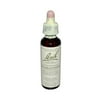 Bach Original Flower Remedies, Scleranthus for Decisiveness and Certainty, 20mL Dropper