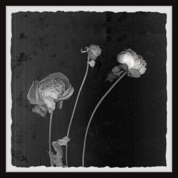 Marmont Hill Floral Impression Framed Painting Print