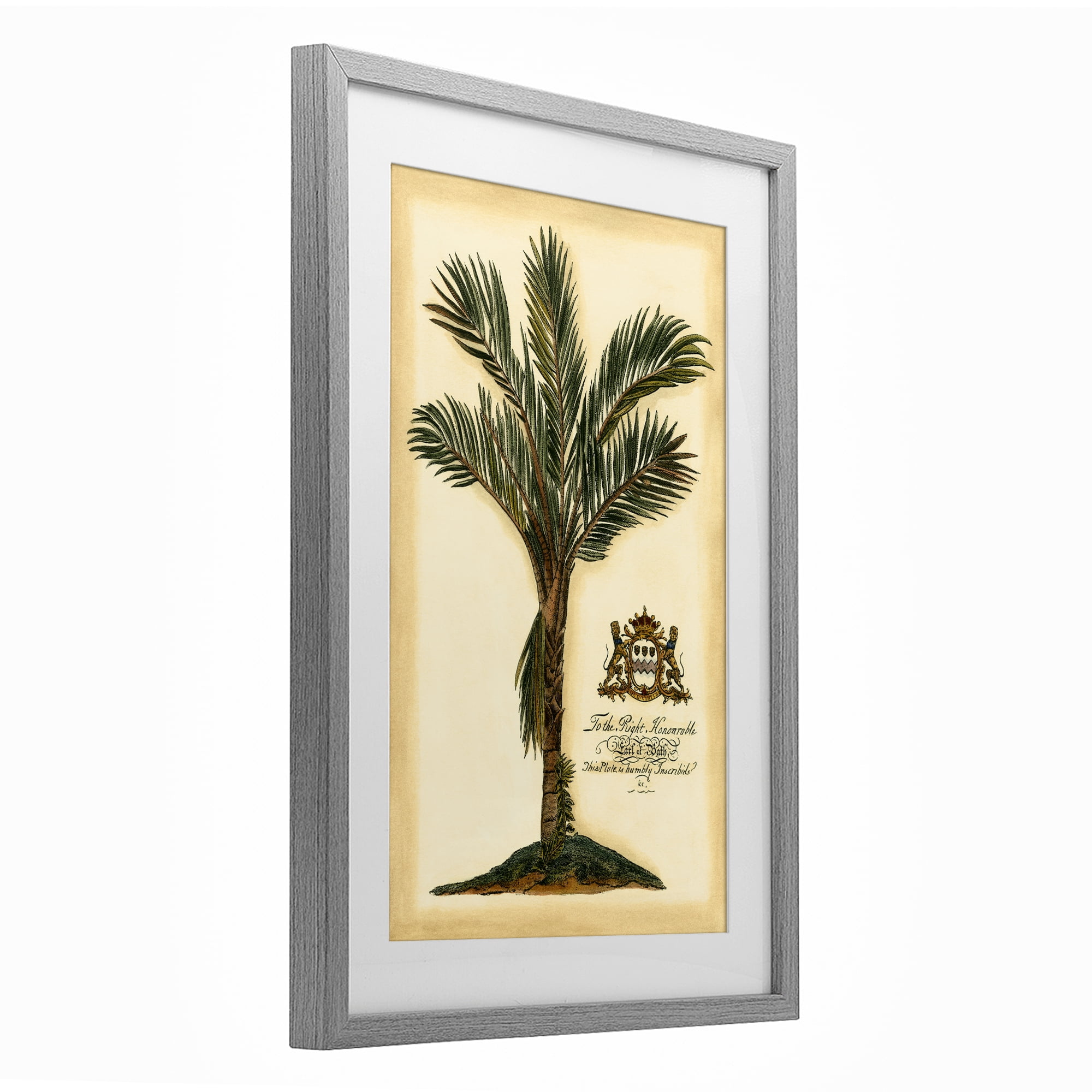 Stupell Industries Vintage Colonial Palm Gray Framed Print Under Glass, design by Vision Studio