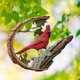 thumbnail image 3 of Resina Pájaro Adornos Decoración de pared Artesanía Artesanía Escultura animal hecha DIY Cardenal en una rama para decoración de DYNWAVEMX pequeña estatua de pájaro, 3 of 7