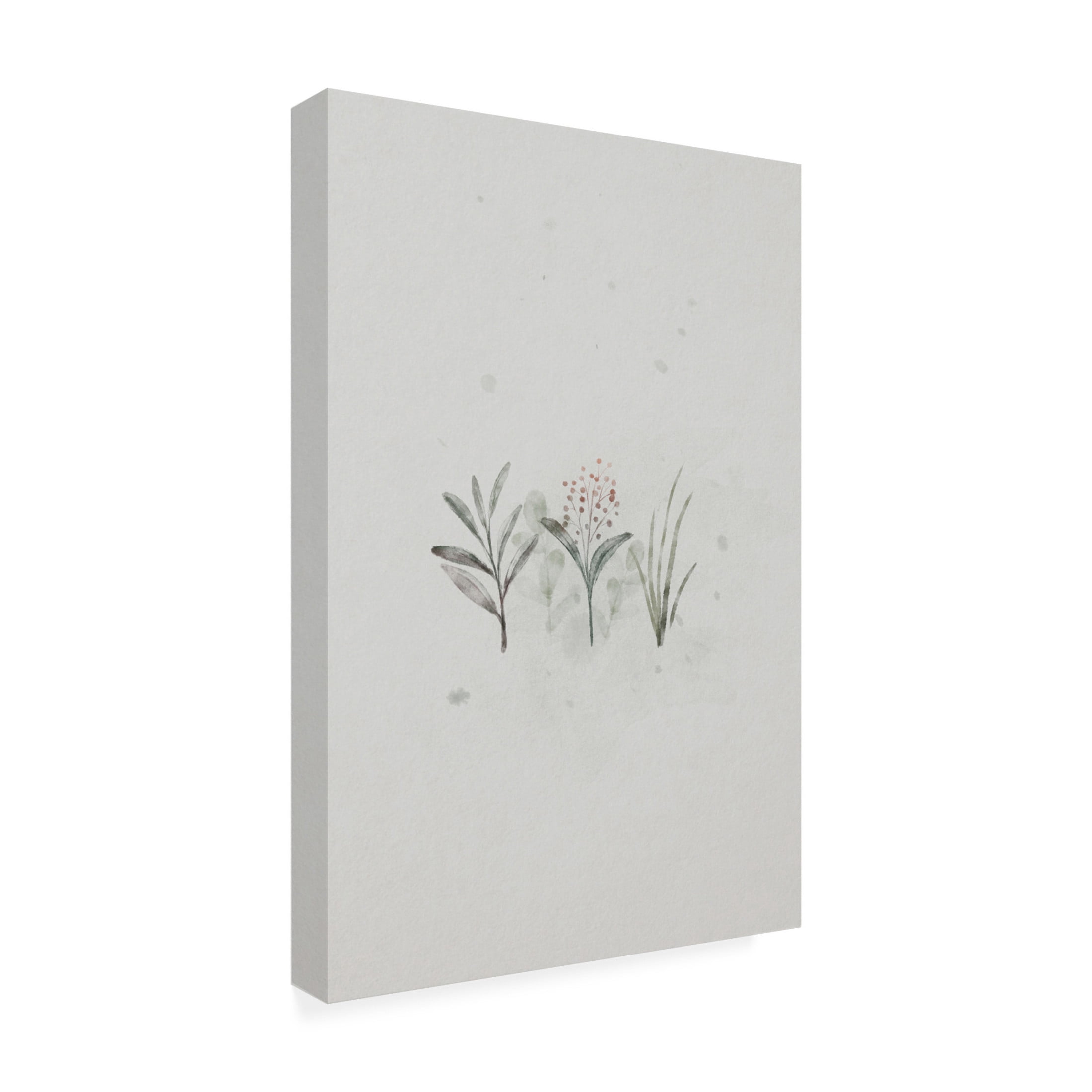 Trademark Fine Art Xuan Thai Tiny Shoots Free Canvas Wall Art