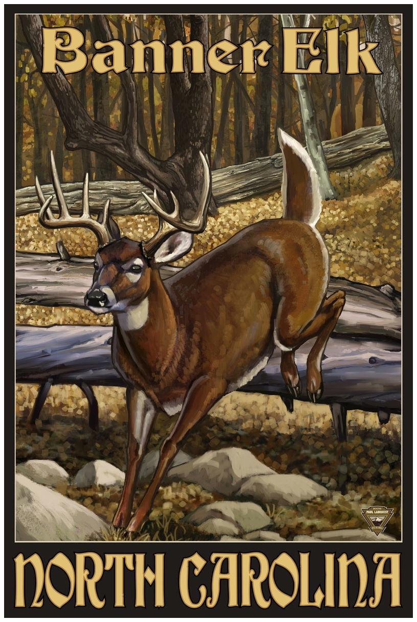 Banner Elk North Carolina Whitetail Deer Giclee Art Print Poster