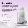 thumbnail image 3 of Theralogix Berberine Enhanced Absorption - 90-Day Supply - Made with Berberine Phytosome to Help Support Healthy Metabolism & Hormone Balance* - NSF Certified - 90 Capsules, 3 of 6