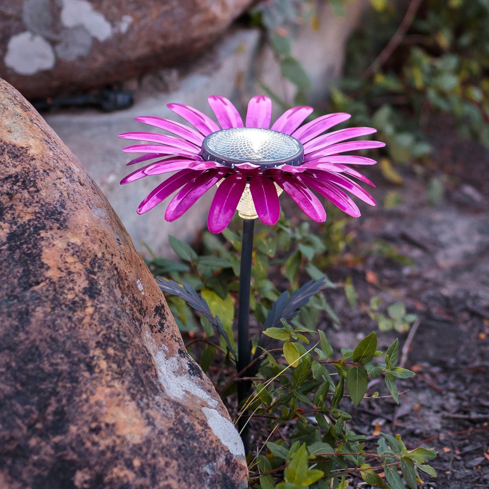 Desert Steel Outdoor Daisy Solar Garden Light