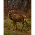 thumbnail image 2 of Rosa Bonheur 15x18 Black Ornate Wood Framed Double Matted Museum Art Print Titled - Stag in an Autumn Landscape, 2 of 5