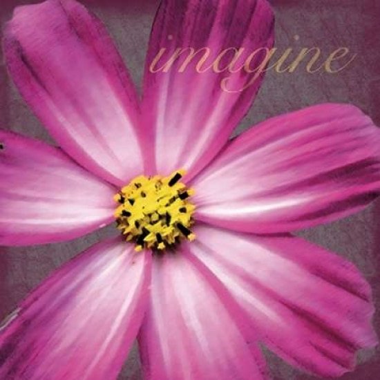 Imagine Flower Poster Print by Lauren Gibbons