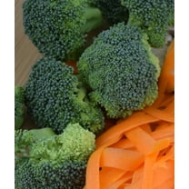SEEDS = = Broccoli Calabrese- 100 Seeds -Quality Vegetable- Heirloom -natural non gmo - = Serendipity Seeds