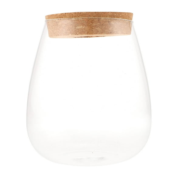 BESTOYARD Multi Functional Glass Terrarium for Home Decoration and Plant Propagation
