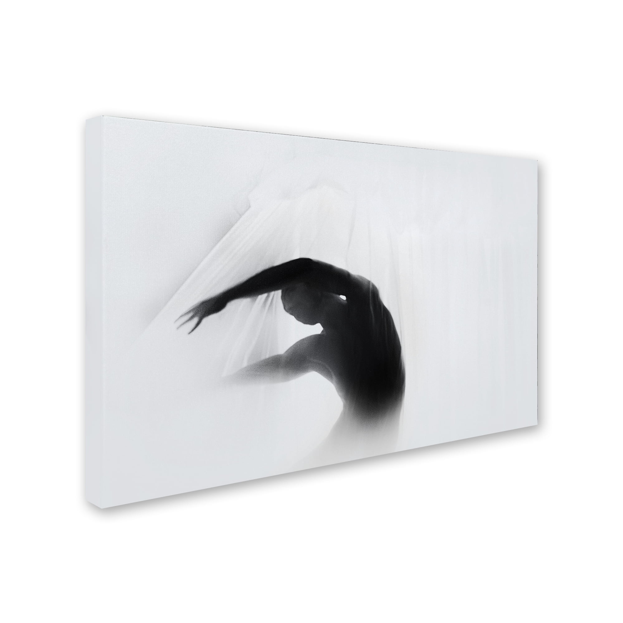 Babak Haghi 'The Dance Of Silence' Canvas Art
