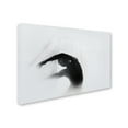 thumbnail image 2 of Babak Haghi 'The Dance Of Silence' Canvas Art, 2 of 3