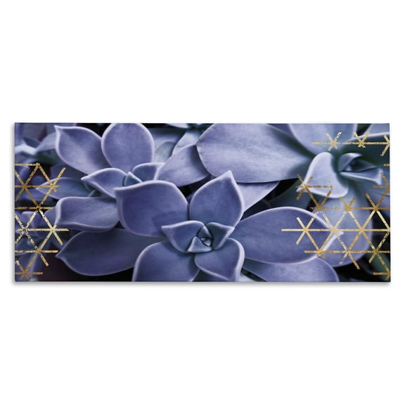 Stupell Industries Contemporary Close Up Blue Succulent With Gold Patterns Photography Canvas Art, 24 x 10, by Lil' Rue