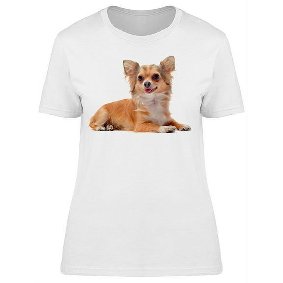 Purebred Chihuahua, Laid Down T-Shirt Women -Image by Shutterstock, Female Large