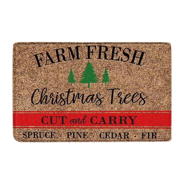 RYRDWP Christmas Door Gnome Floor Mat Cartoon Mat Hallway Kitchen Foot Mat