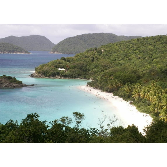 Howard "Hawaiian Tropics" Glossy Poster